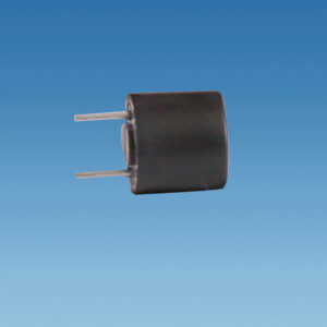 Whale Space/Water Heater PCB 2A Fuse – AK1219