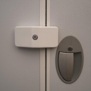 Fenwicks Bobby Dazzler Rinse – 205