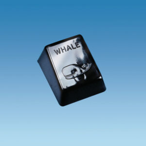 Whale Foot Switch